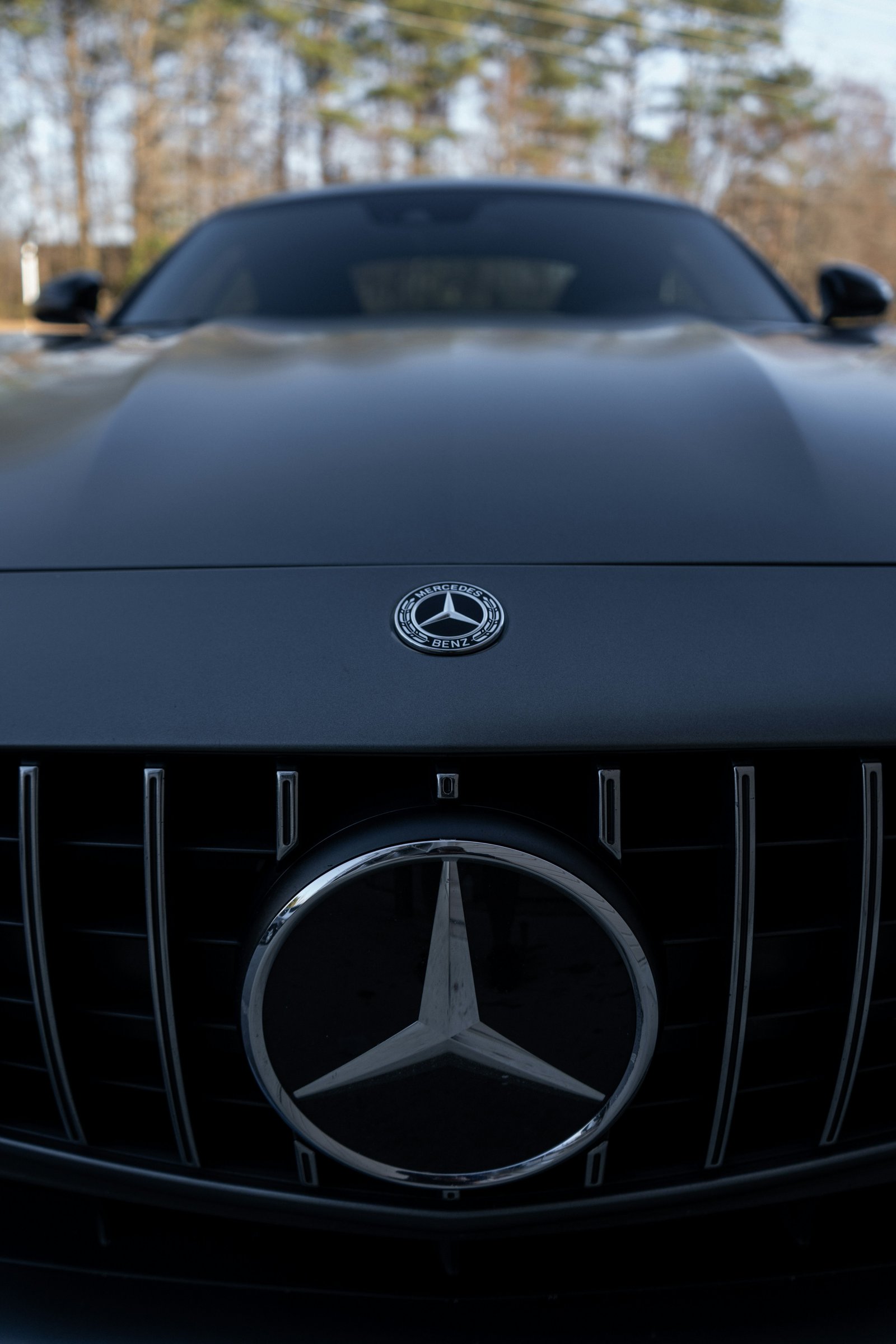 Mercedes Classe V VIP